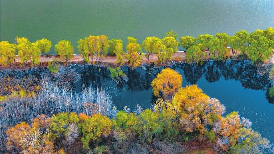 Im frühen Winter erstrahlt das Huihe-Feuchtgebiet in Houma in farbenprächtiger Herbstfärbung